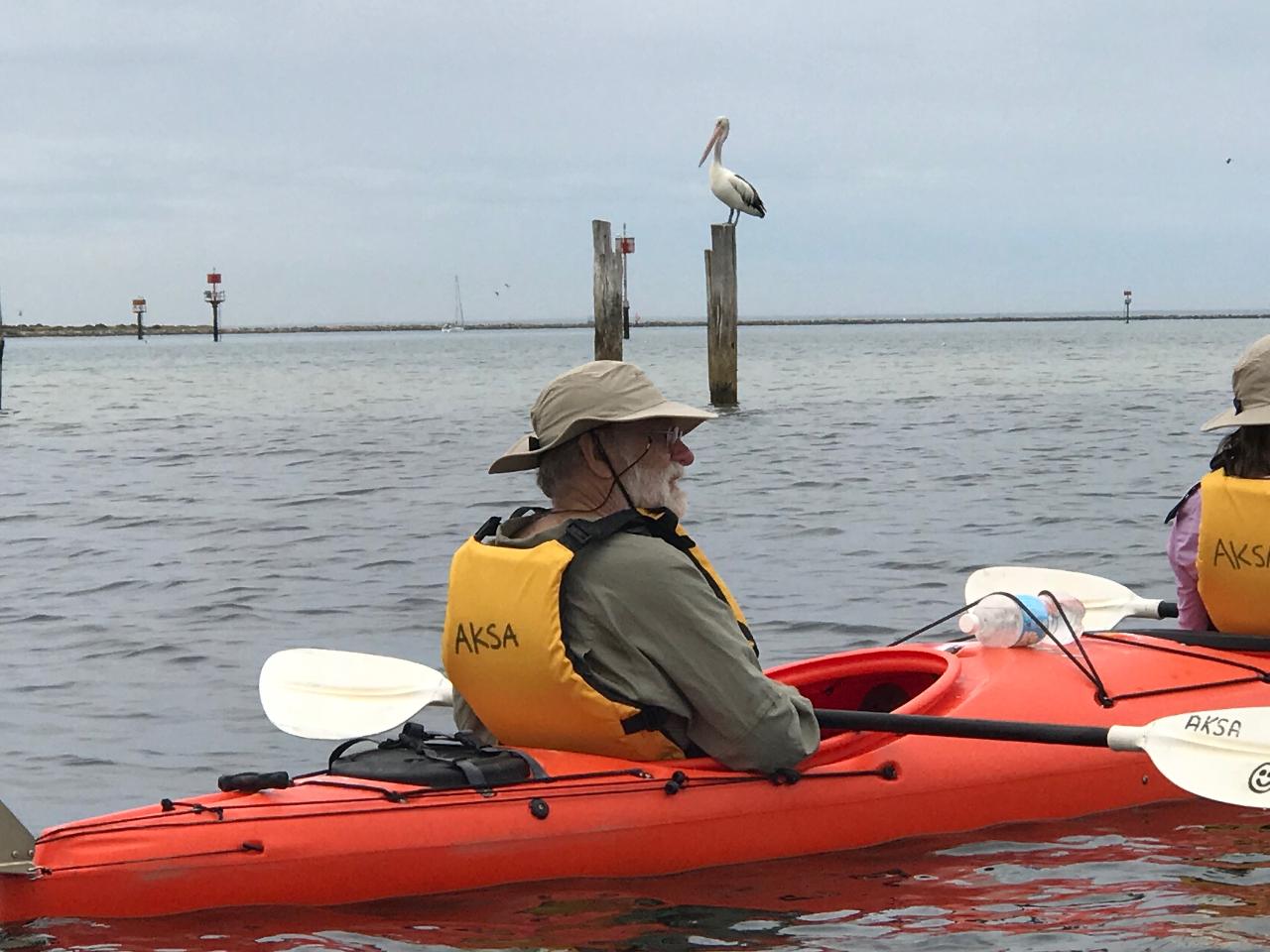 ZBird Island Sea Kayak Adventure Kayaking SA Reservations