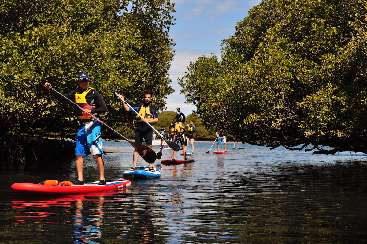 Dolphin Sanctuary SUP Experience (up to 2 hours)