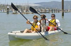 Z -1-Person 'Sit On Top' Kayak Hire - Adventure Kayaking SA Reservations