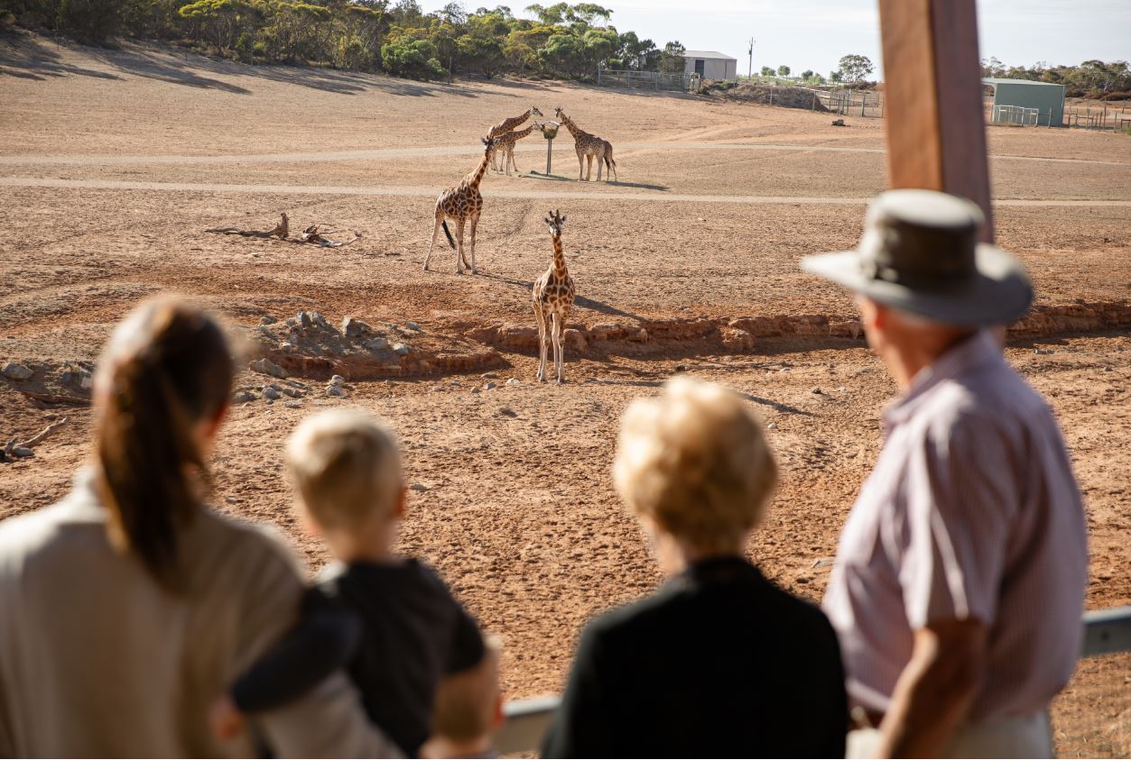 Monarto Safari Park General Admission 