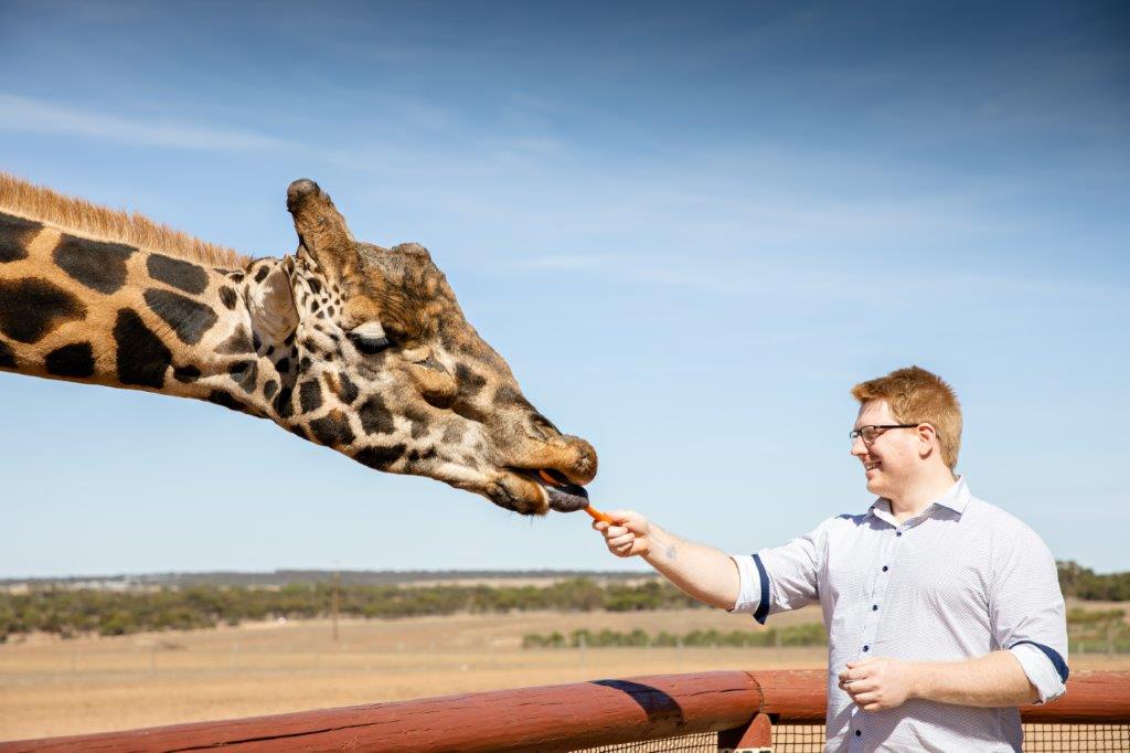 Giraffe Safari and a day at Monarto Safari Park