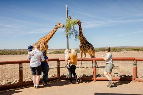 monarto zoo day tours