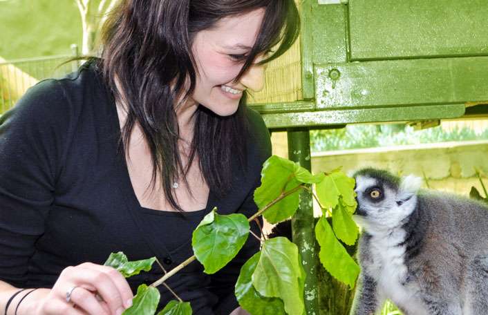A day at Adelaide Zoo and a Lemur Encounter