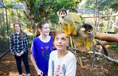 Squirrel Monkey Enc and day at Adelaide