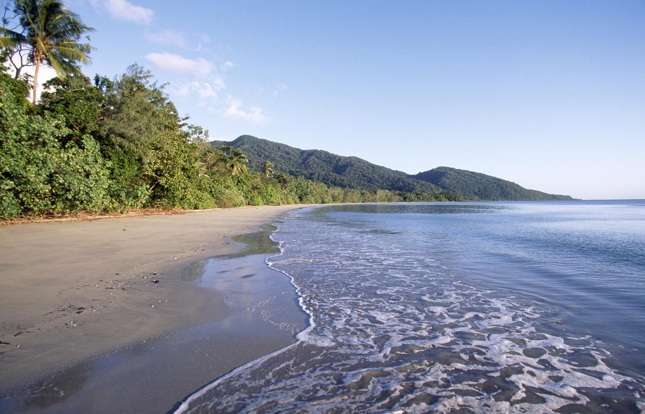 DCT01_CNS: Small Group Premium Daintree & Cape Tribulation Day Tour, incl Food 