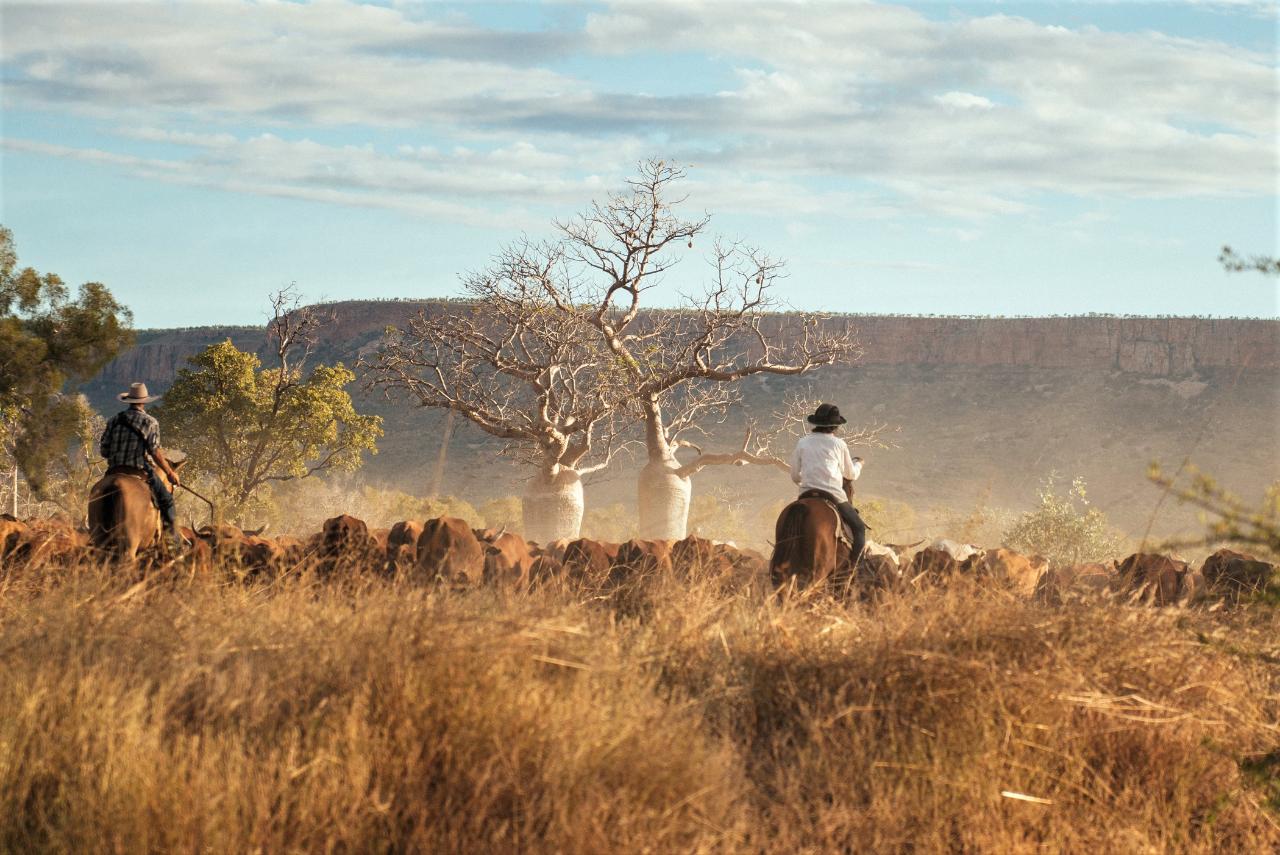 Follow the Drover's Trail - Kimberleys 5 Days/6 Nights Horseriding Adventures