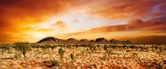 3 Day Ayers Rock 4WD Safari Tour