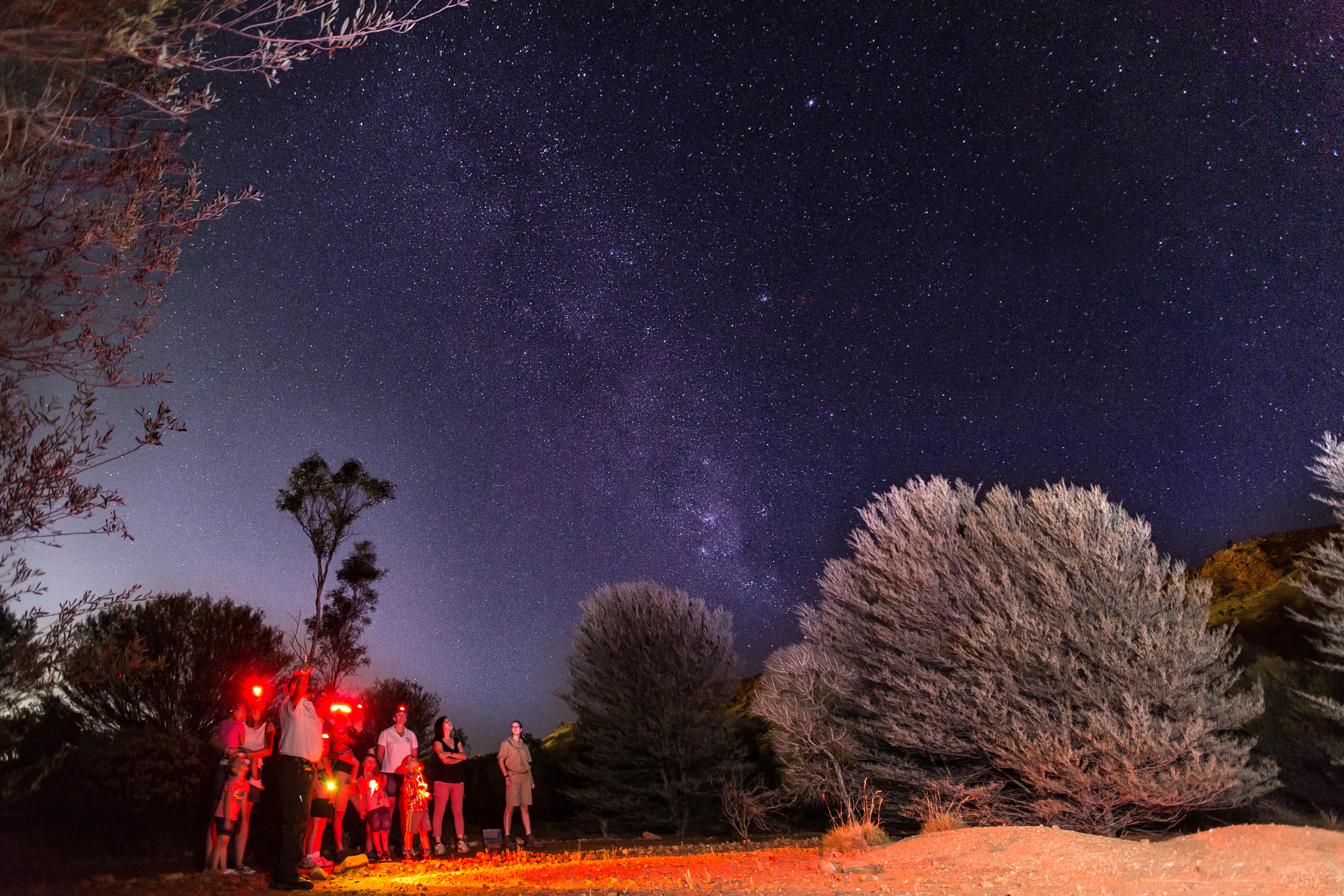 Nocturnal Outback BBQ Tour - Private Group Tour (Mon-Fri)