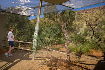 Alice Springs Desert Park - Day Pass - OTA