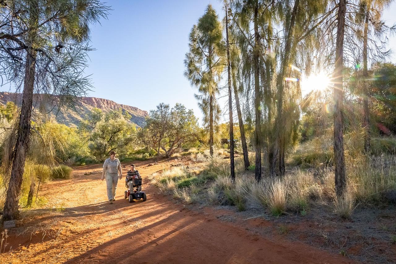Donation | Friends of the Desert Park