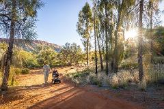 Donation | Friends of the Desert Park