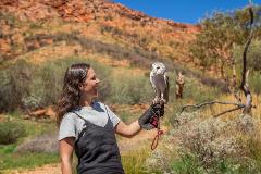 Nature Theatre Photo Experience (Does not include Day Pass)