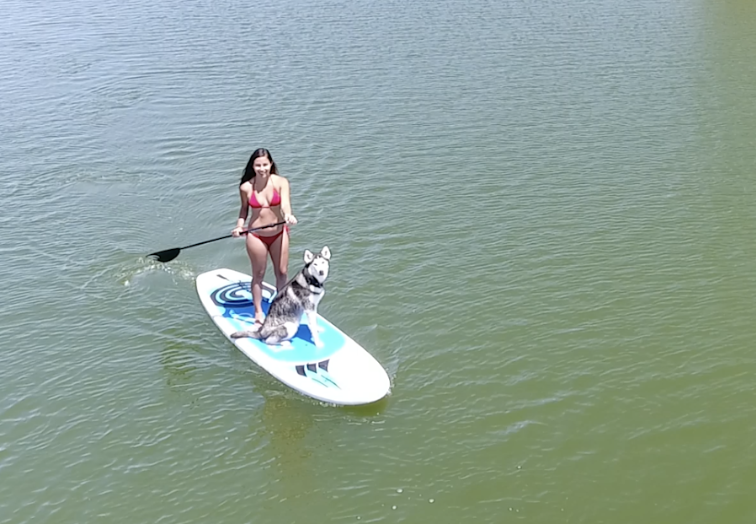 2 Hour Paddleboard Rental