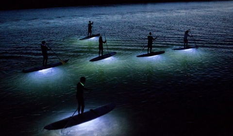 Full Moon Paddle (Paddleboard)