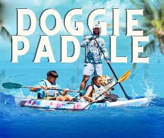 Doggie Paddle at Lake Las Vegas