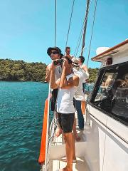  Major Tom 1/2 Day Cruise -Sailing, Snorkeling & Lunch 