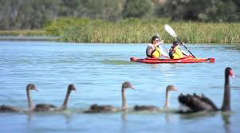 Banrock - Private Guided Kayaking Tour & Picnic