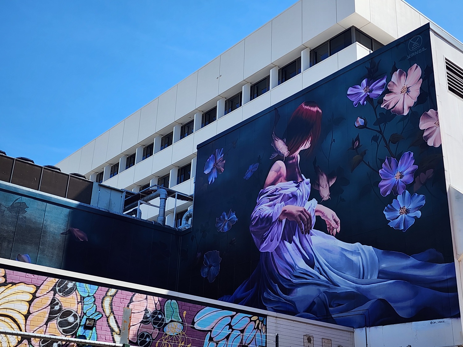 Wander Darwin's Walls