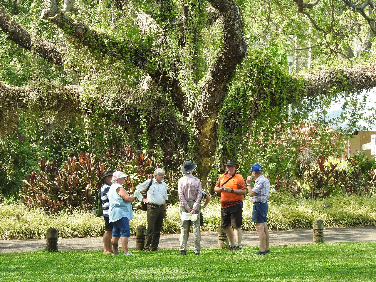 Botanic Gardens Open Day Walks