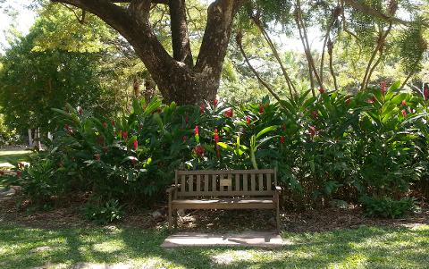Walk the Botanic Gardens