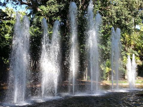 Botanic Gardens Heritage Walk