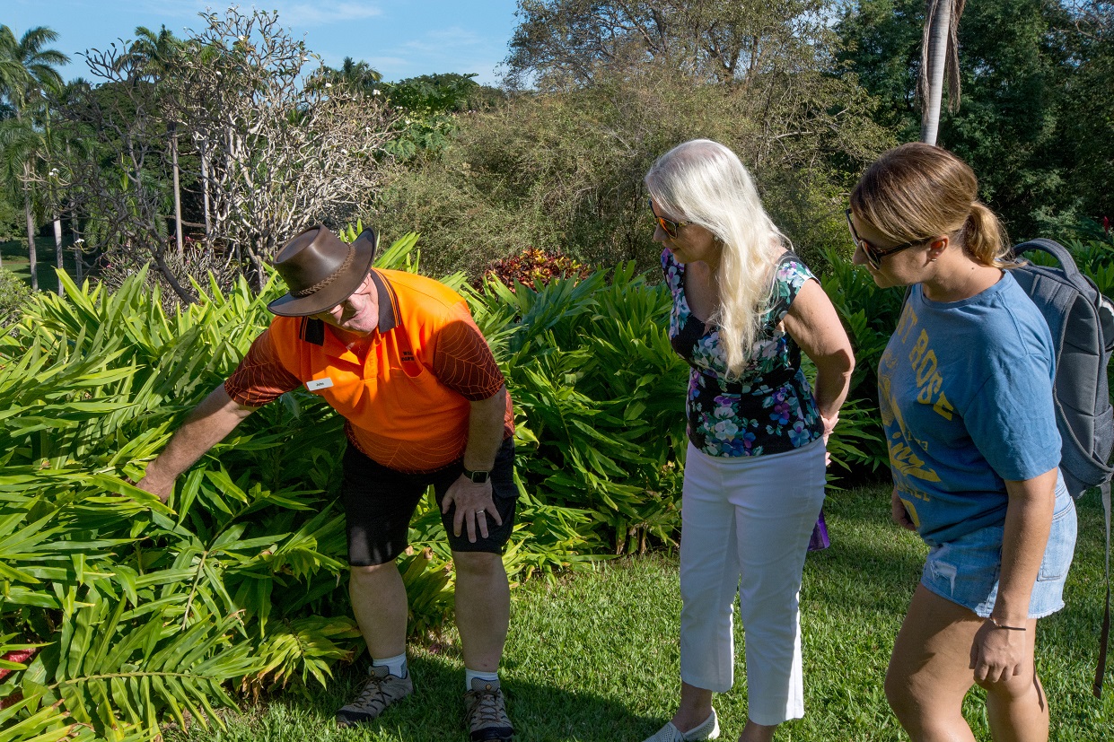 Meet the Plants Walk Walk Darwin Pty Ltd Reservations