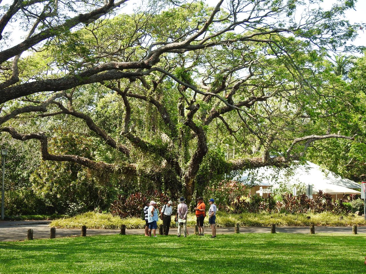 Walk the Botanic Gardens - Viator