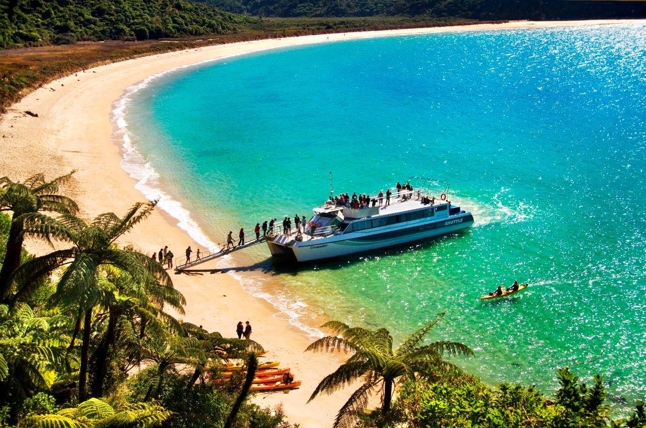 tasman sea cruise ship