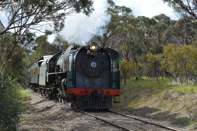 South Coast Wine Train - Premium Private Tour