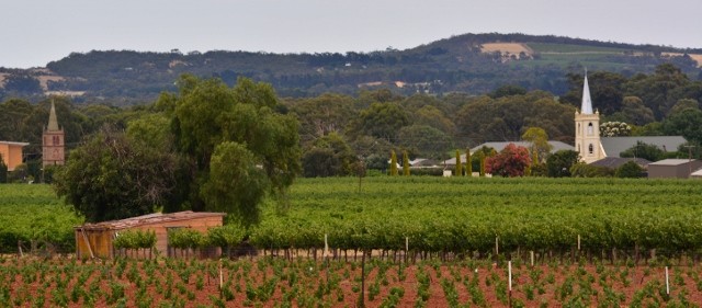Barossa Day Tour