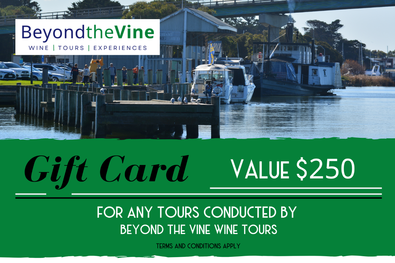 GIFT CARD - $250 value for any tour from Beyond the Vine Wine Tours 