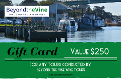 GIFT CARD - $250 value for any tour from Beyond the Vine Wine Tours 