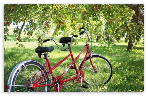 Tandem Bikes