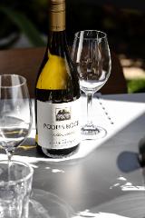 Premiere Tasting Experience 