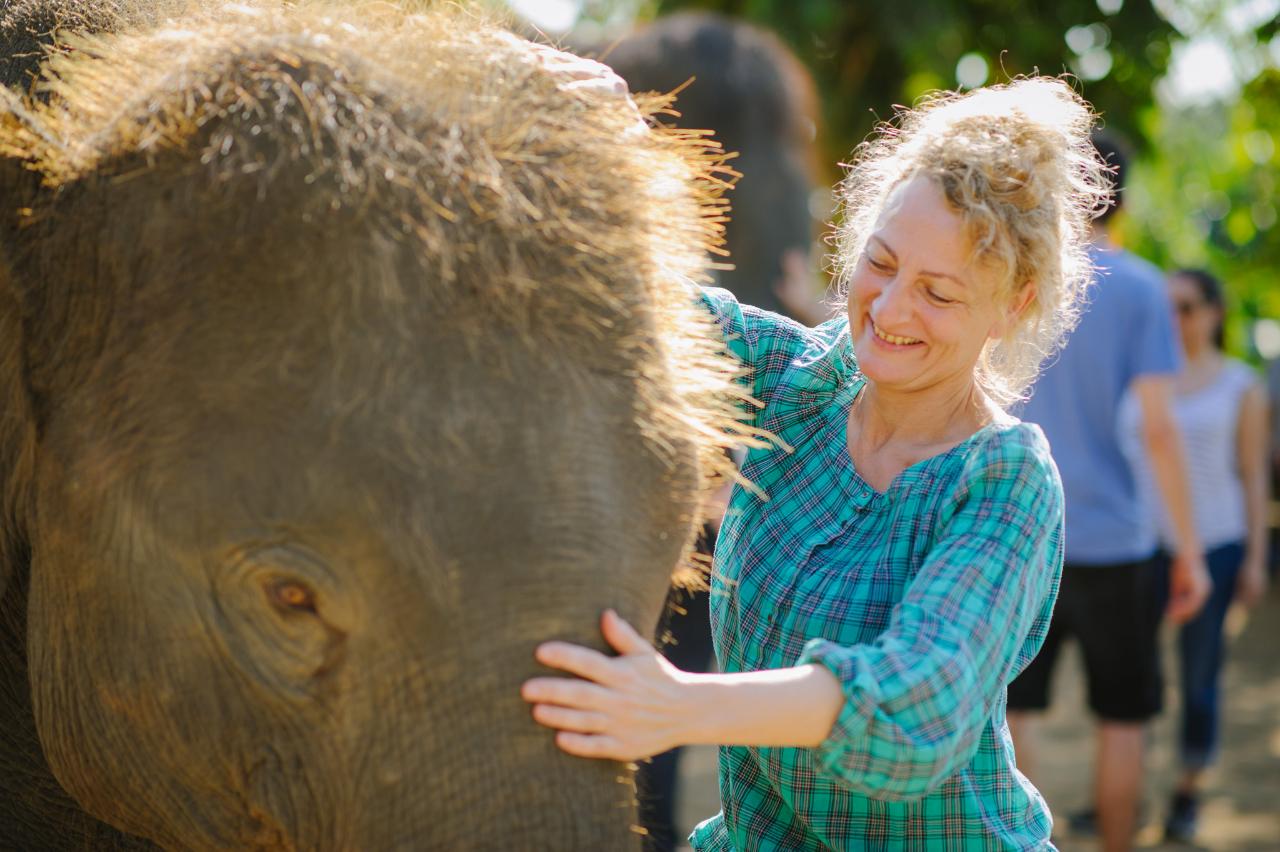 Thailand – The Baby Elephant Experience