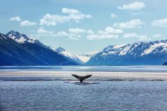 Alaska – The Great Exploration