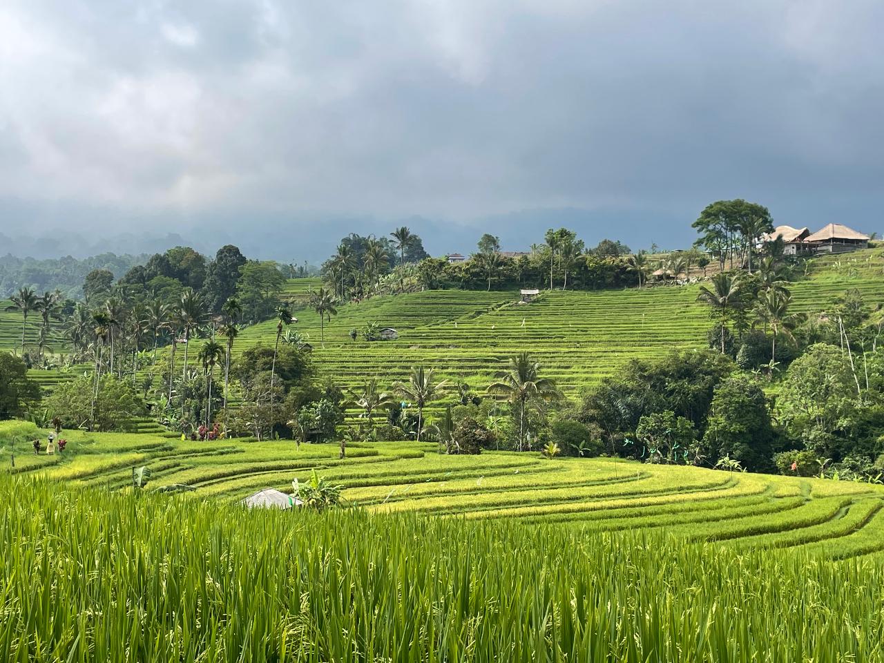 Bali - Island of Inspiration