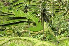 Bali - Island of Inspiration