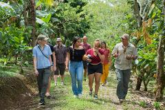Costa Rica – Culture, Craft & Conservation (My Milestone Rewards)