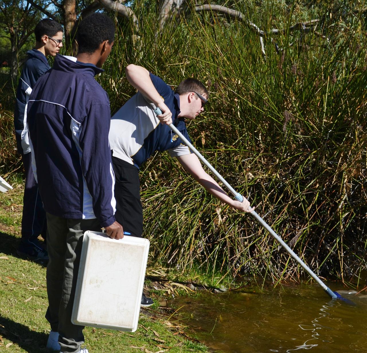 Aquatic ecosystems-Perth Metro