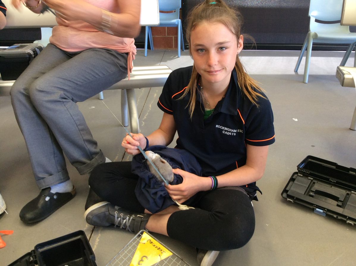 Saving Threatened Species (Primary) - Incursion-Perth Metro