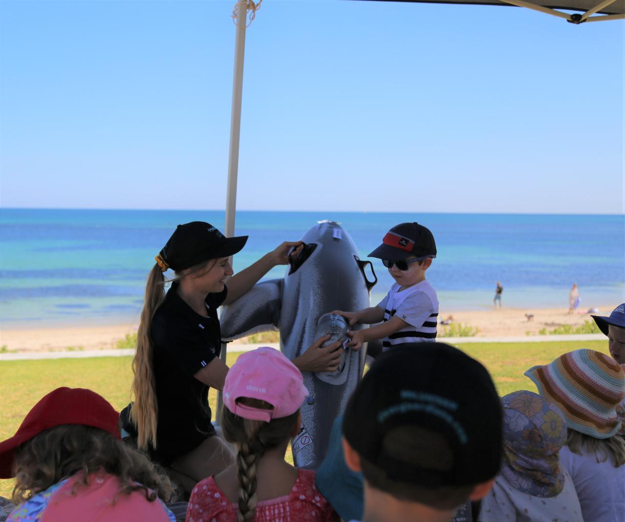 DOLPHIN DISCOVERY - MATILDA BAY