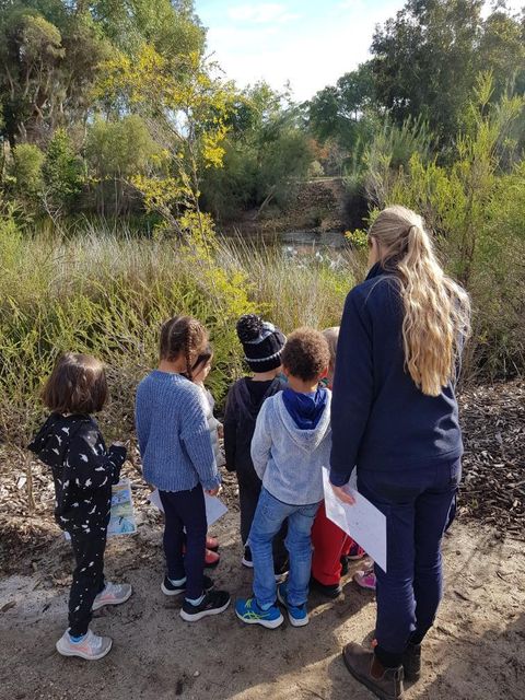 TURTLEY AWESOME WETLANDS - PINEY LAKES (4-7yrs)