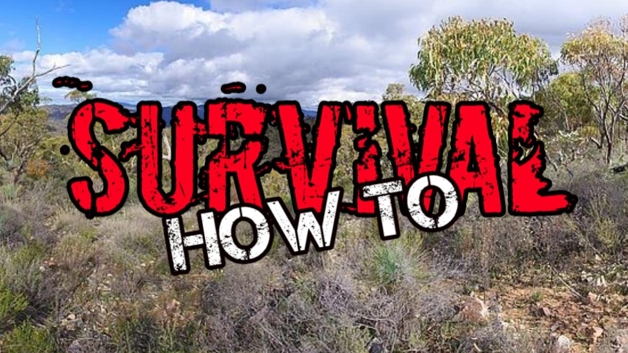 Bush Survival Skills @ WDF with Survive It SW!