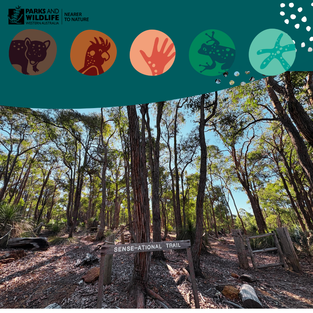 Sense-ational Trail (6-12yrs)