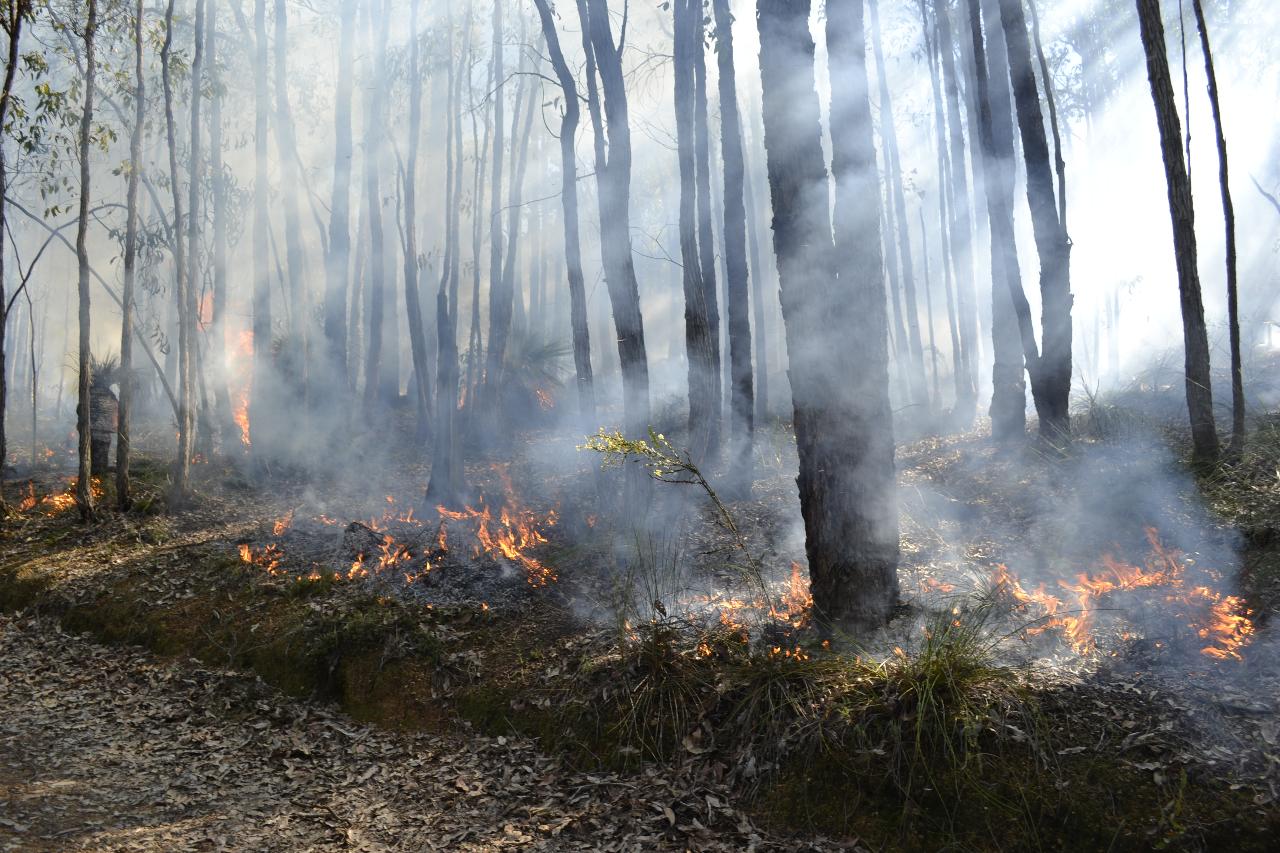 Fire in the Landscape (Primary) -Perth Metro