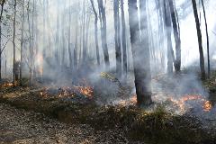 Fire in the Landscape (Primary) -Perth Metro