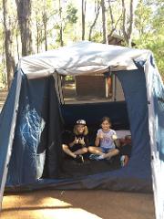 Forest Day Camp (8-14yrs)