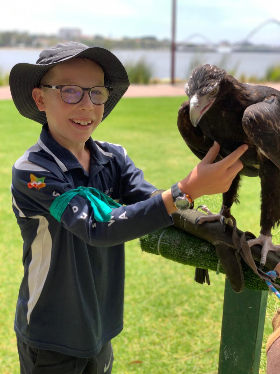 Birds of Prey Encounter