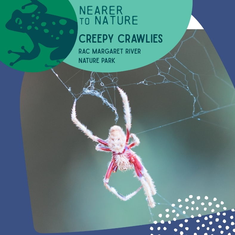 Creepy Crawlies @ RAC Nature Park Margaret River